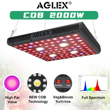 Aglex 1200w cob led grow light sale